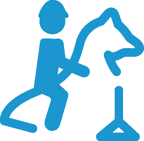 equestrian competition